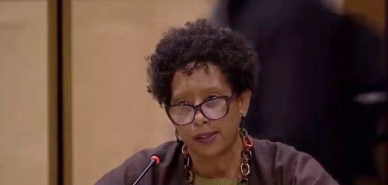 “O Brasil apoia as piores formas de discriminação racial”, diz representante da Coalizão na ONU