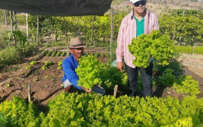 PARAÍBA: BOAS PRÁTICAS DA AGRICULTURA FAMILIAR QUILOMBOLA