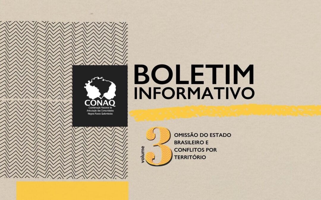Boletim Informativo Vol 3: OMISSÃO DO ESTADO BRASILEIRO E CONFLITOS POR TERRITÓRIO