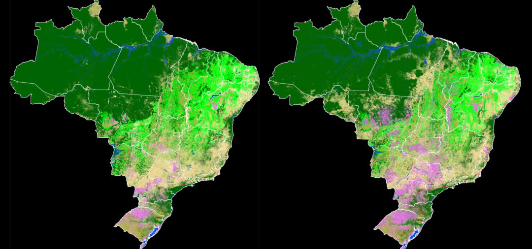 Projeto MapBiomas mapeia três décadas de mudanças na ocupação territorial do Brasil