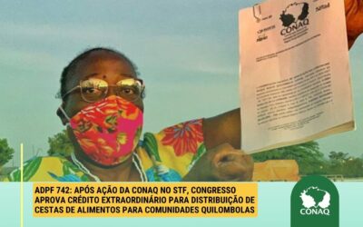 ADPF 742: CONAQ consegue na justiça liberação de cestas de alimentos para comunidades quilombolas 
