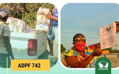 ADPF 742: Após ação na justiça CONAQ garante cestas de alimentos para famílias quilombolas
