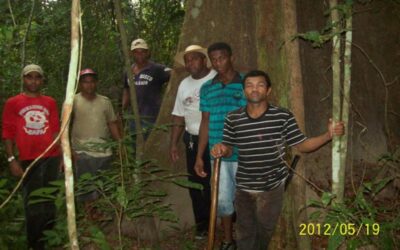 Quilombolas da Ilha de São Vicente, em Araguatins (TO), denunciam invasões e desmatamento ilegal dentro da comunidade