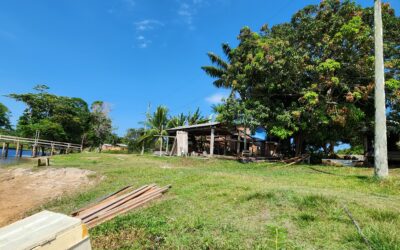 Instituto do Patrimônio Histórico e Artístico Nacional (IPHAN) faz live para tirar dúvidas sobre tombamento de quilombos